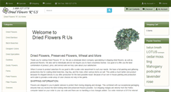 Desktop Screenshot of driedflowersrus.com